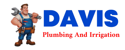 Trusted plumber in STARR